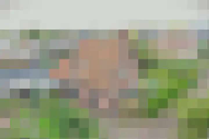 Beggelderveldweg 9 Dinxperlo thumbnail 47