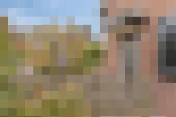 Beggelderveldweg 9 Dinxperlo thumbnail 6
