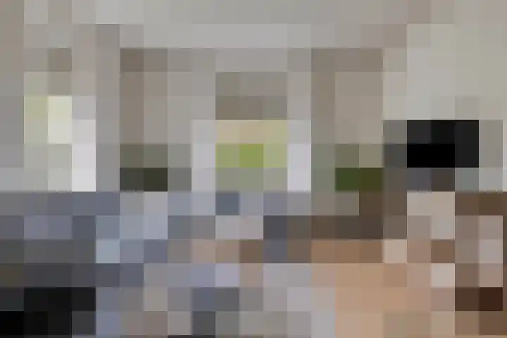 Beggelderveldweg 9 Dinxperlo thumbnail 9
