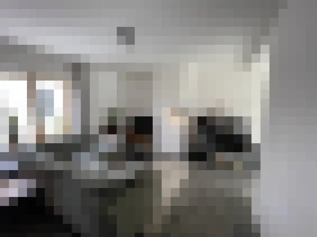 Begijnekade 6 E Utrecht thumbnail 6