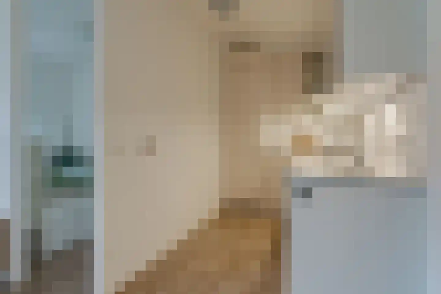 Begijnenhof 11 A Eindhoven thumbnail 16