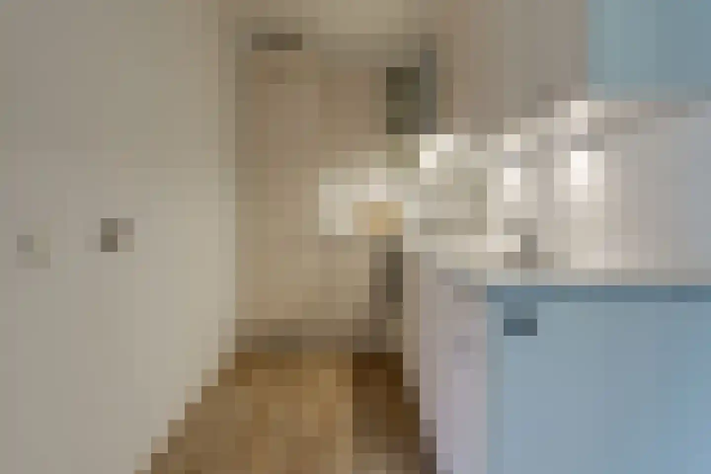 Begijnenhof 11 A Eindhoven thumbnail 17