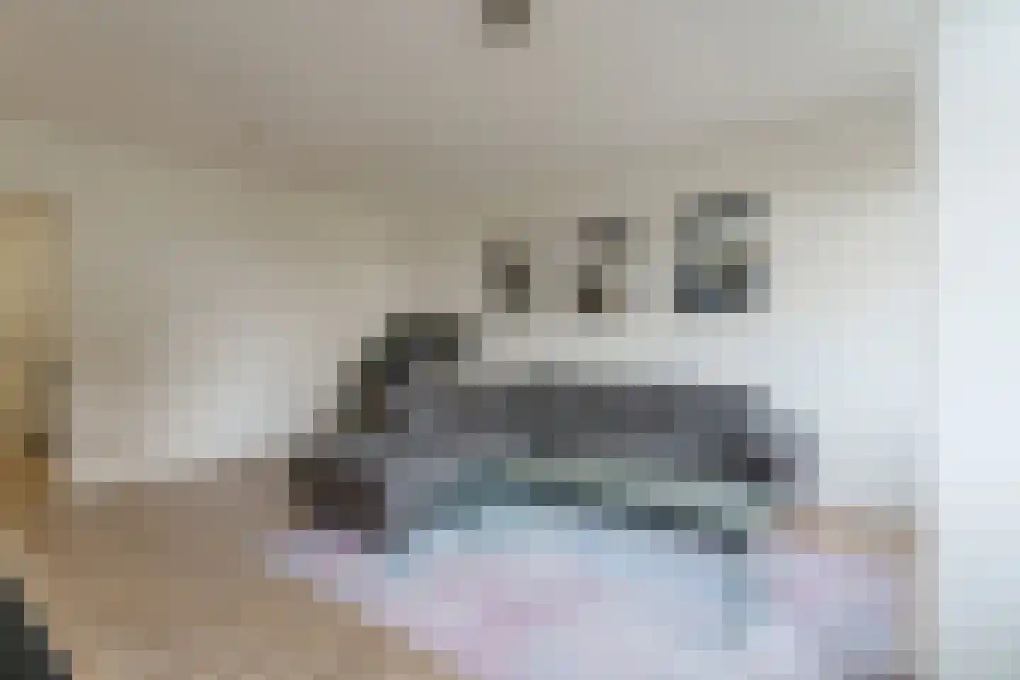Begijnenhof 11 A Eindhoven thumbnail 21