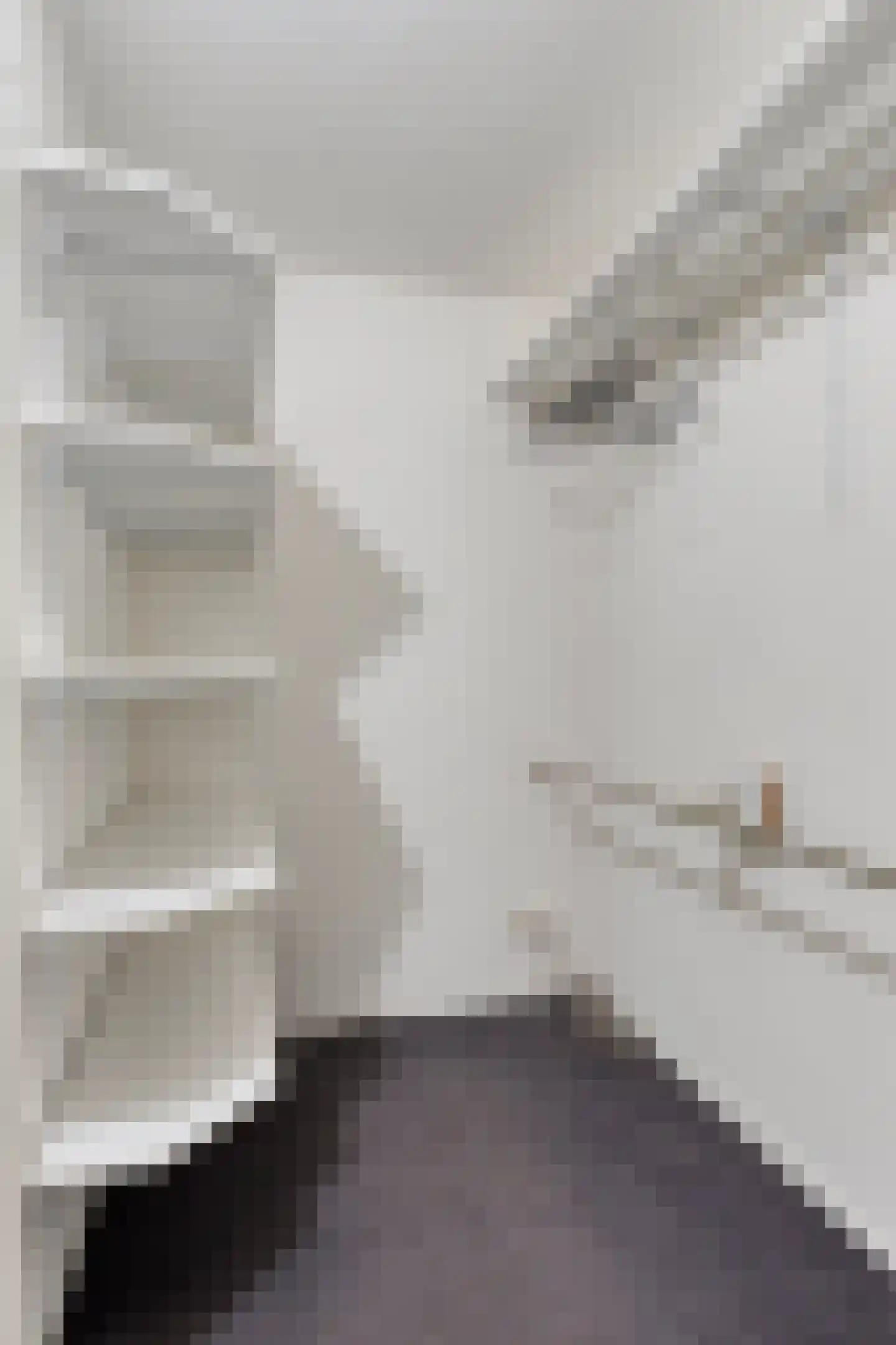 Begijnenhof 17 Eindhoven thumbnail 21