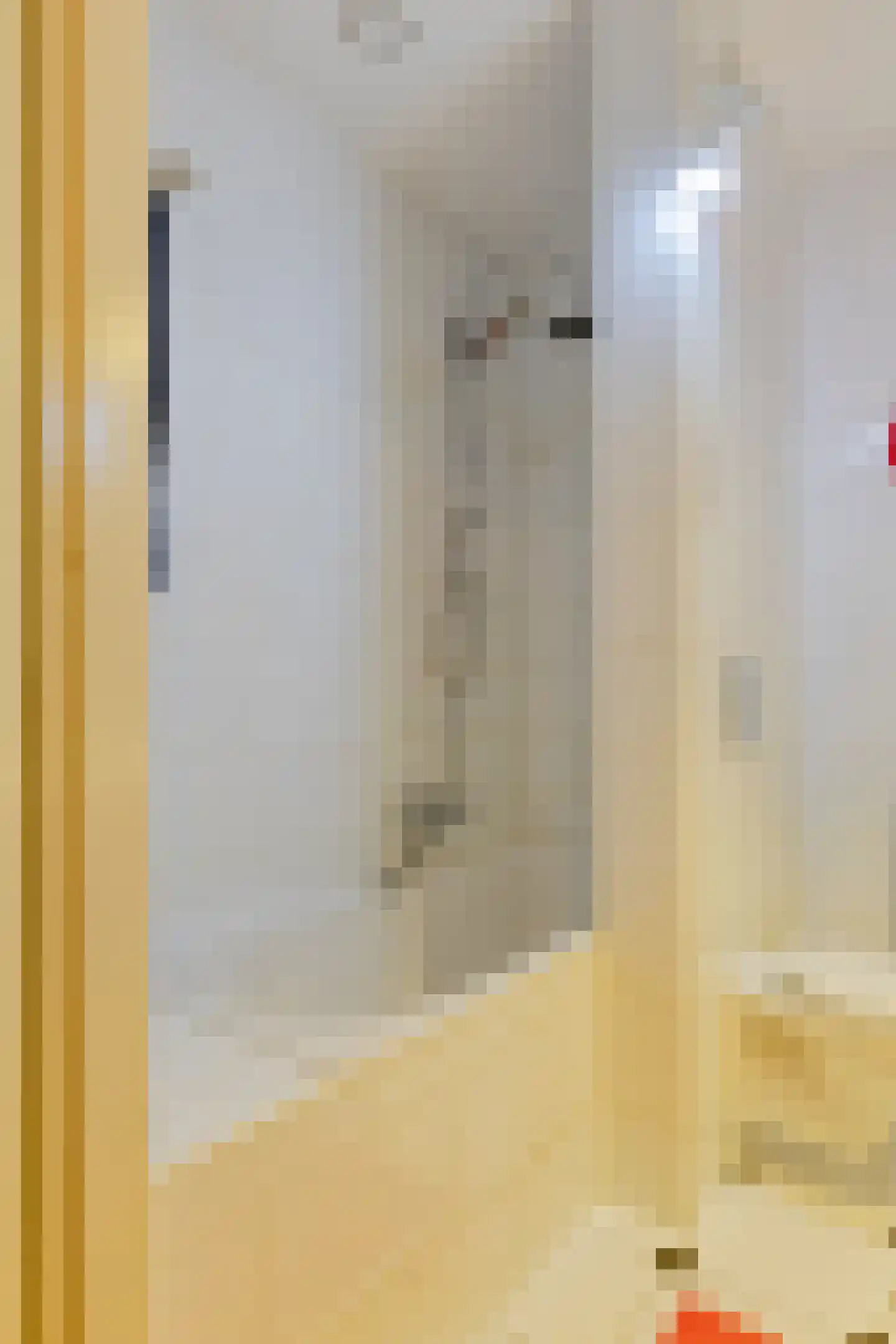Begijnenhof 17 Eindhoven thumbnail 24
