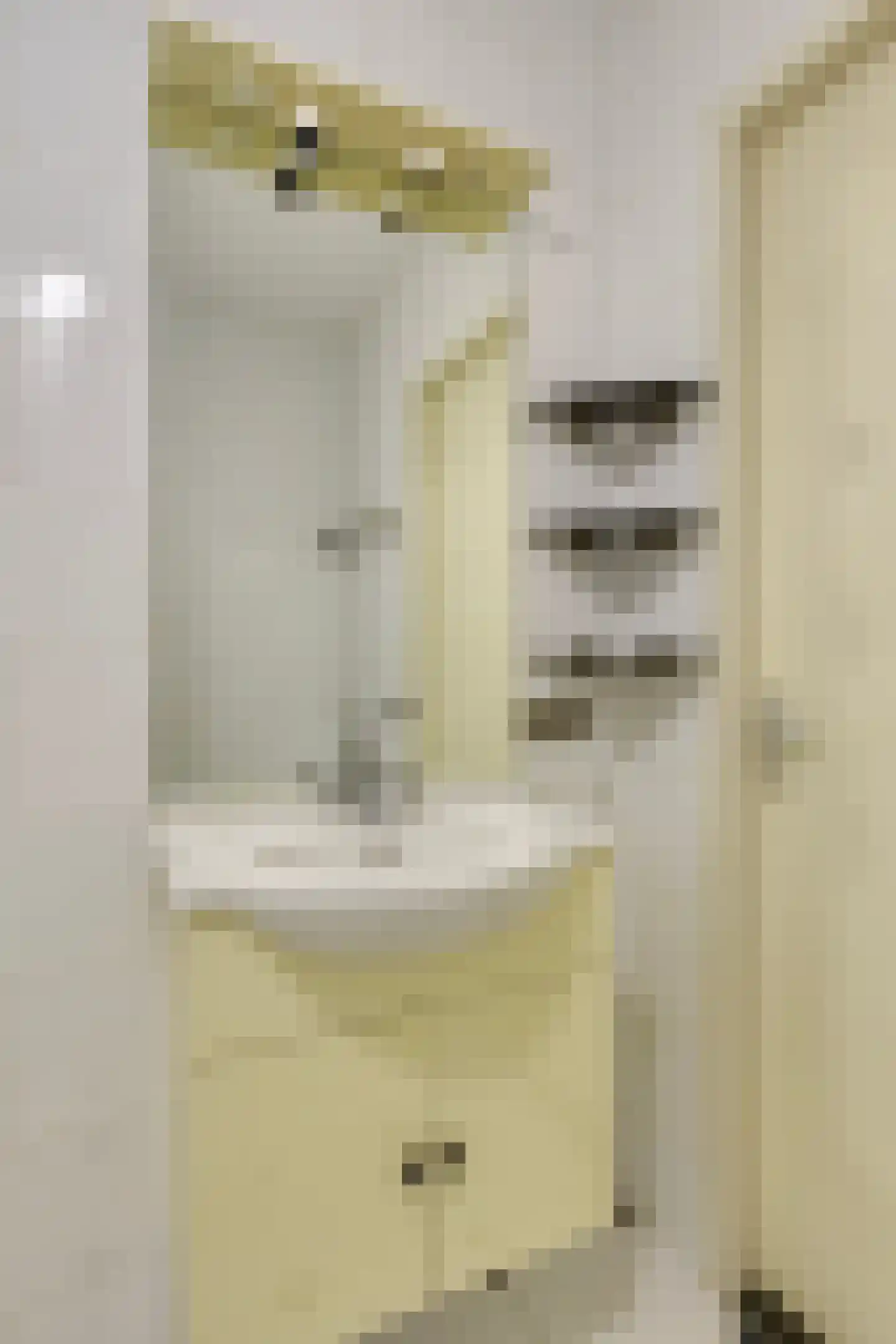 Begijnenhof 17 Eindhoven thumbnail 25