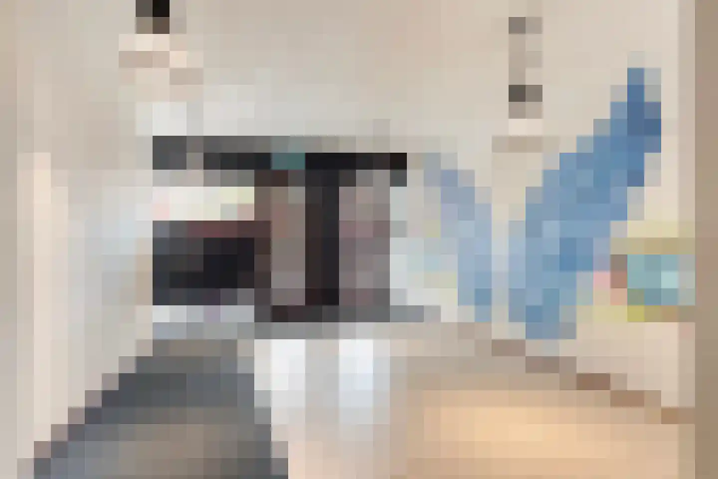 Begijnenhof 17 Eindhoven thumbnail 7