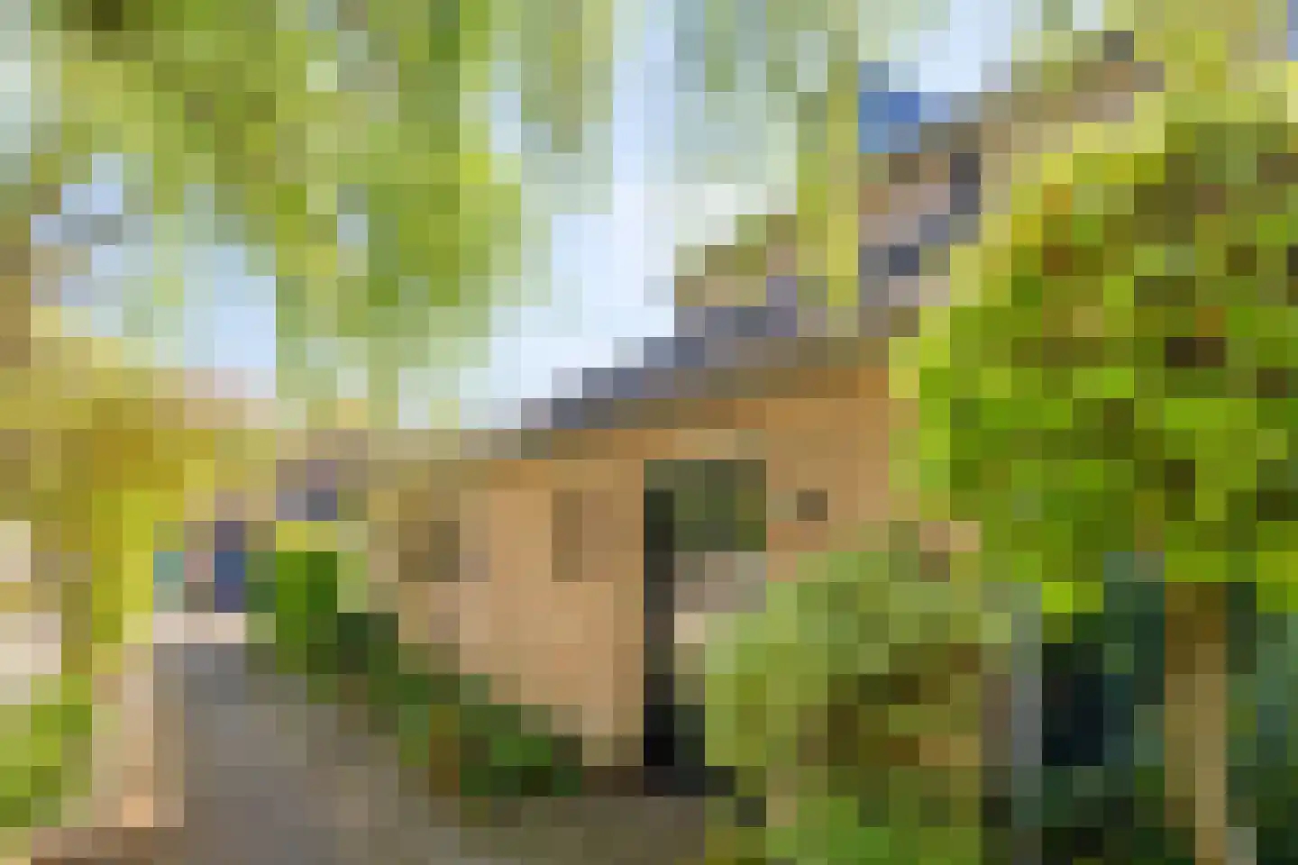 Begijnenhof 32 Molenhoek thumbnail 4