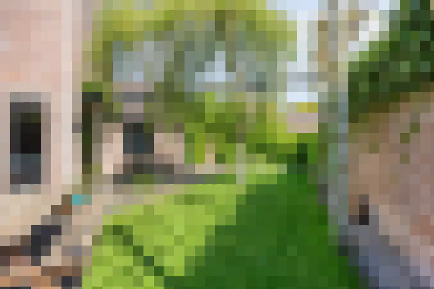 Begijnenhof 32 Molenhoek thumbnail 41