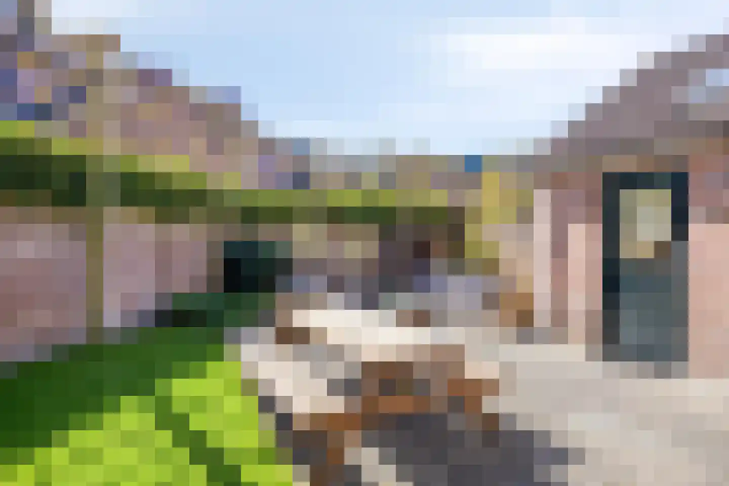 Begijnenhof 32 Molenhoek thumbnail 42