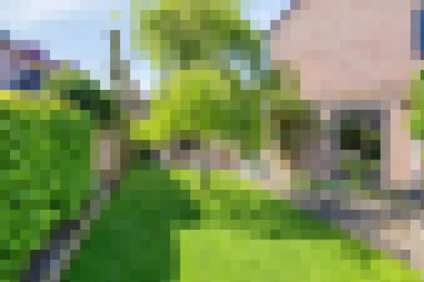 Begijnenhof 32 Molenhoek thumbnail 47