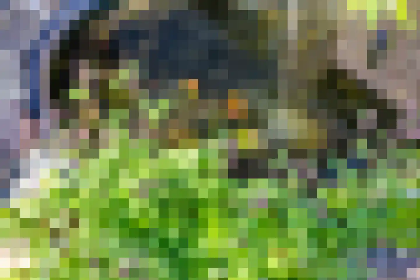 Begijnenhof 32 Molenhoek thumbnail 48