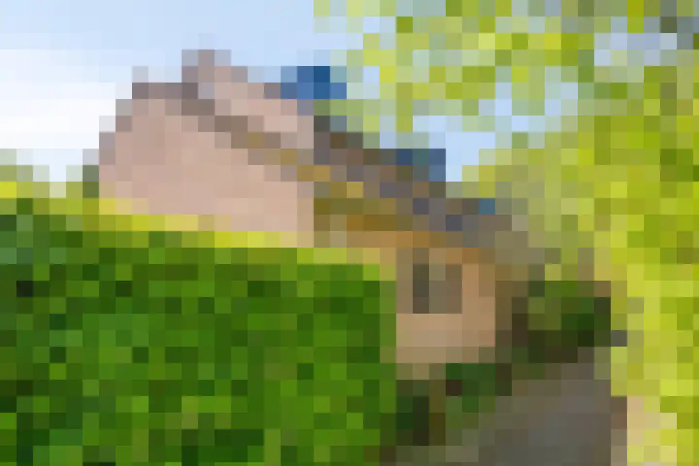 Begijnenhof 32 Molenhoek thumbnail 54