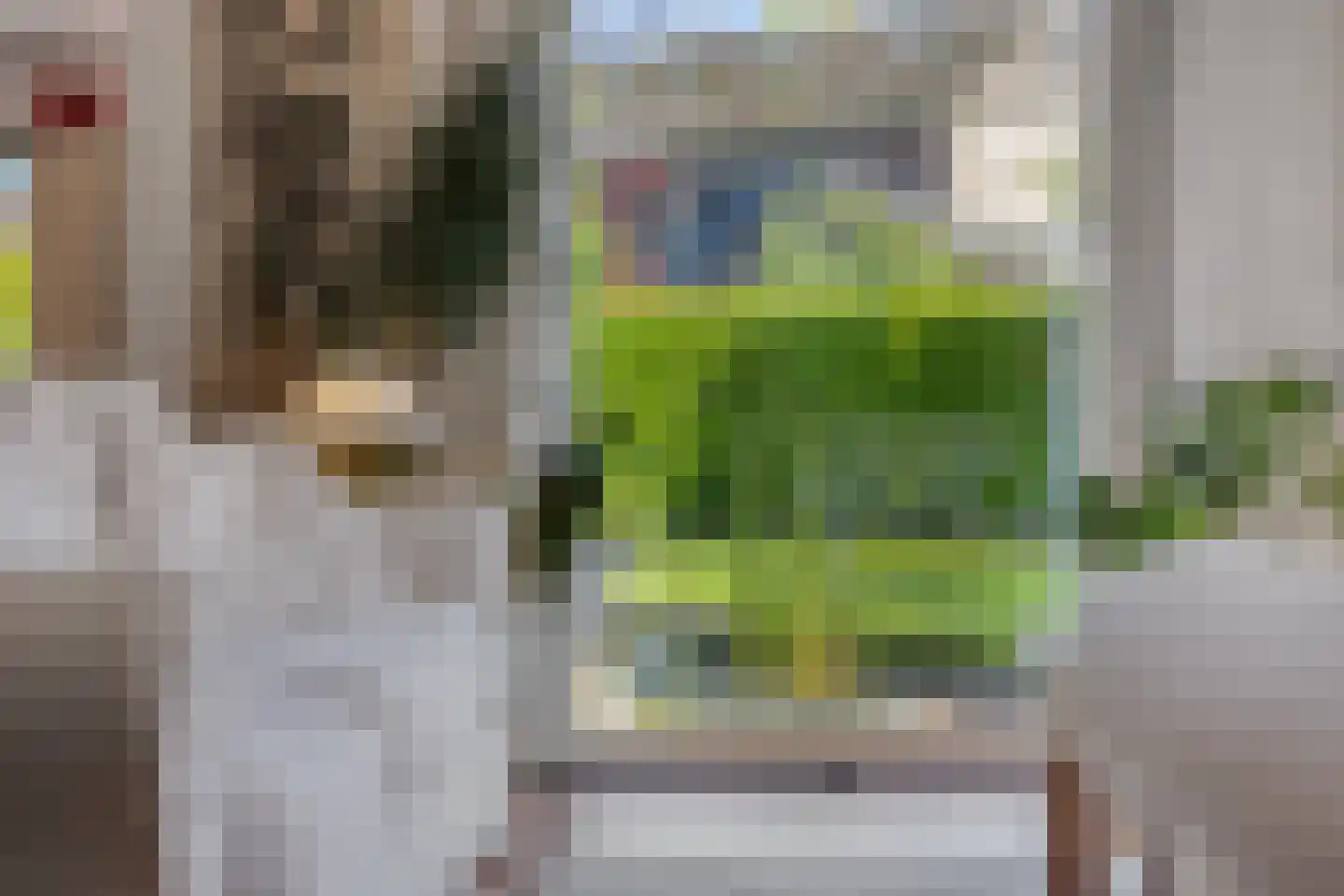 Begijnenhof 32 Molenhoek thumbnail 9