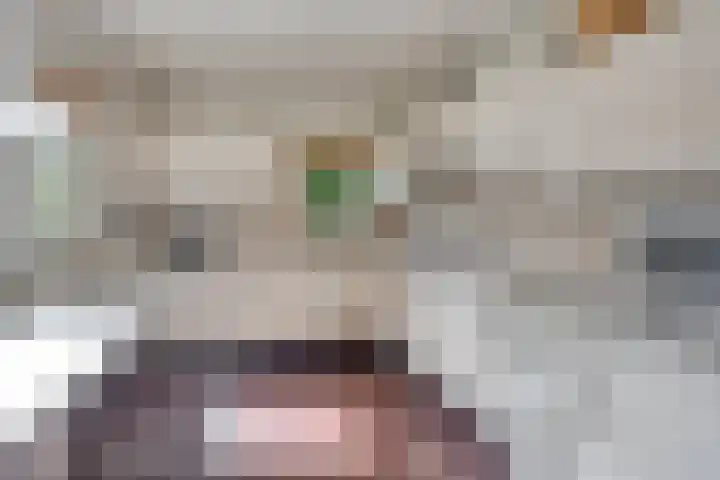 Begijnenhof 6 Molenhoek thumbnail 11