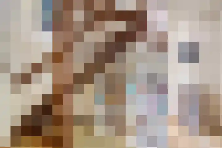 Begijnenhof 6 Molenhoek thumbnail 13