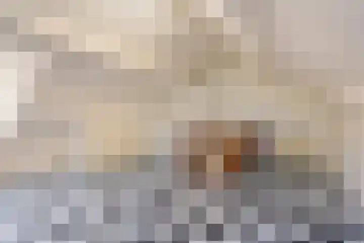 Begijnenhof 6 Molenhoek thumbnail 20