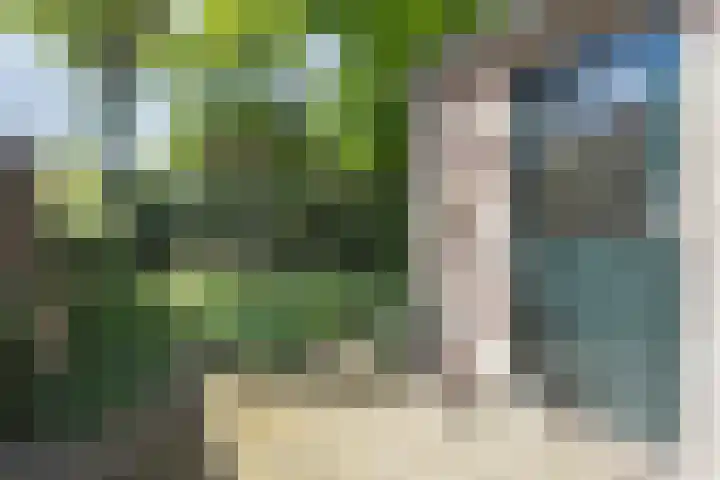 Begijnenhof 6 Molenhoek thumbnail 21
