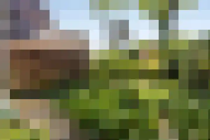 Begijnenhof 6 Molenhoek thumbnail 22