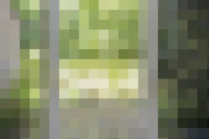 Begijnenhof 6 Molenhoek thumbnail 23
