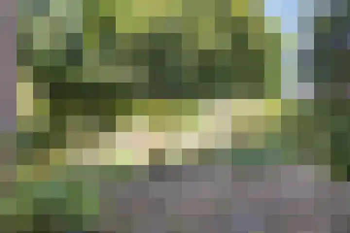 Begijnenhof 6 Molenhoek thumbnail 24