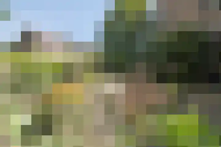 Begijnenhof 6 Molenhoek thumbnail 27