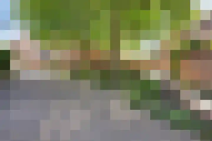 Begijnenhof 6 Molenhoek thumbnail 28