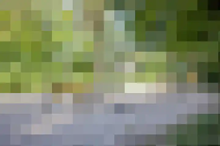 Begijnenhof 6 Molenhoek thumbnail 29