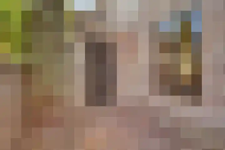 Begijnenhof 6 Molenhoek thumbnail 4