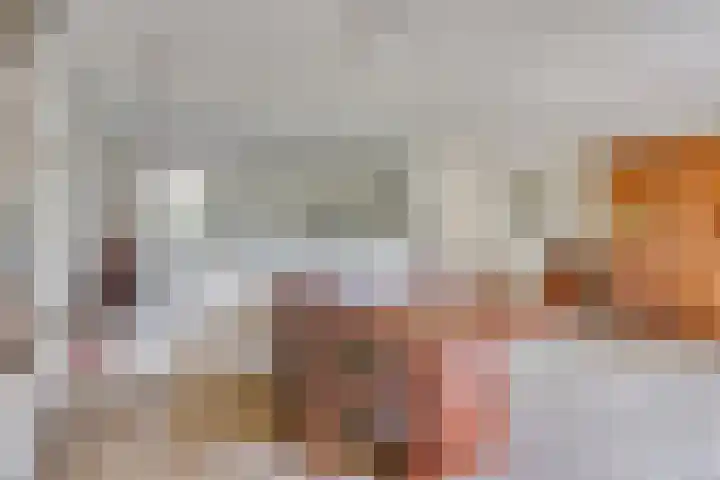 Begijnenhof 6 Molenhoek thumbnail 9