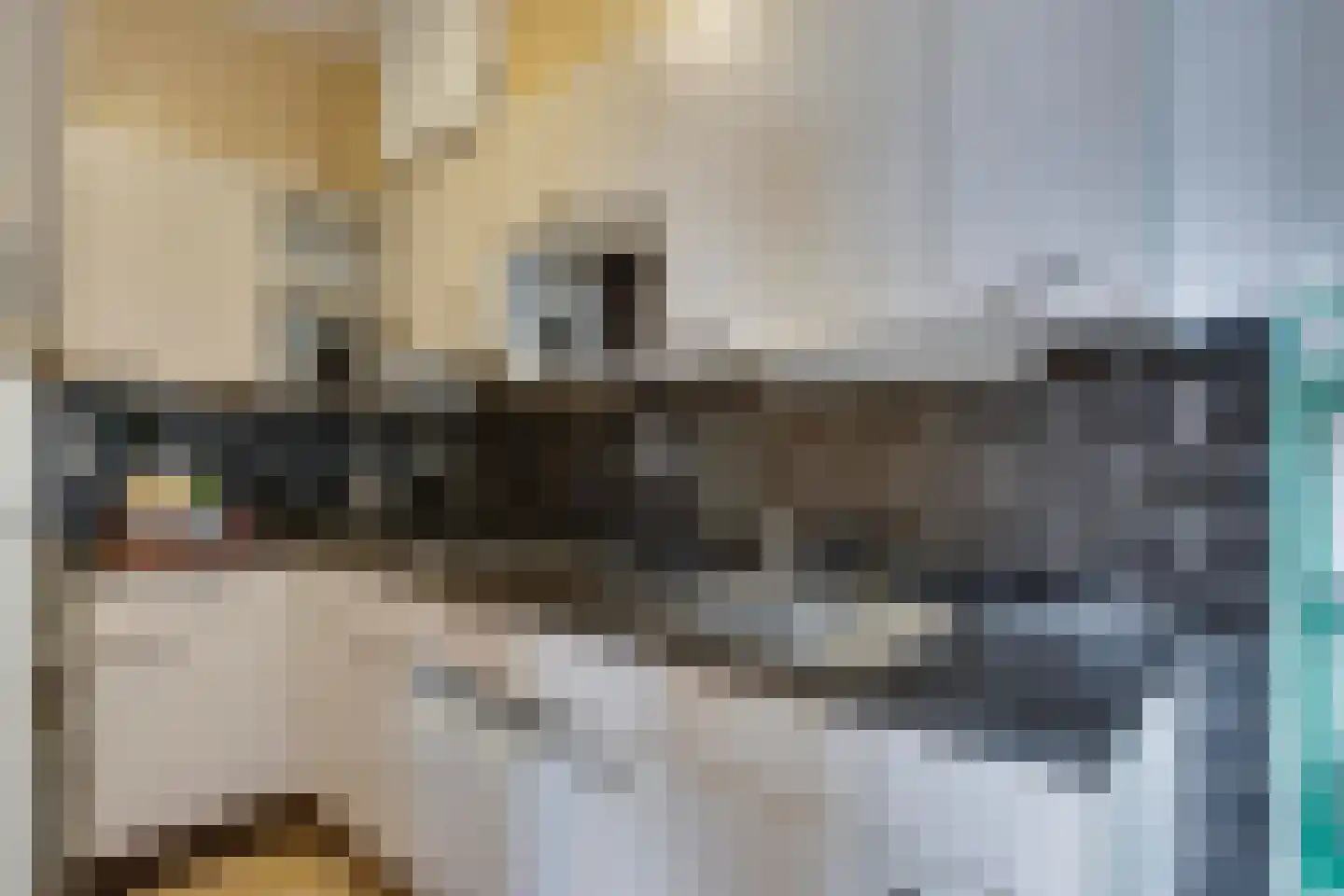 Begijnenhof 9 A Eindhoven thumbnail 16