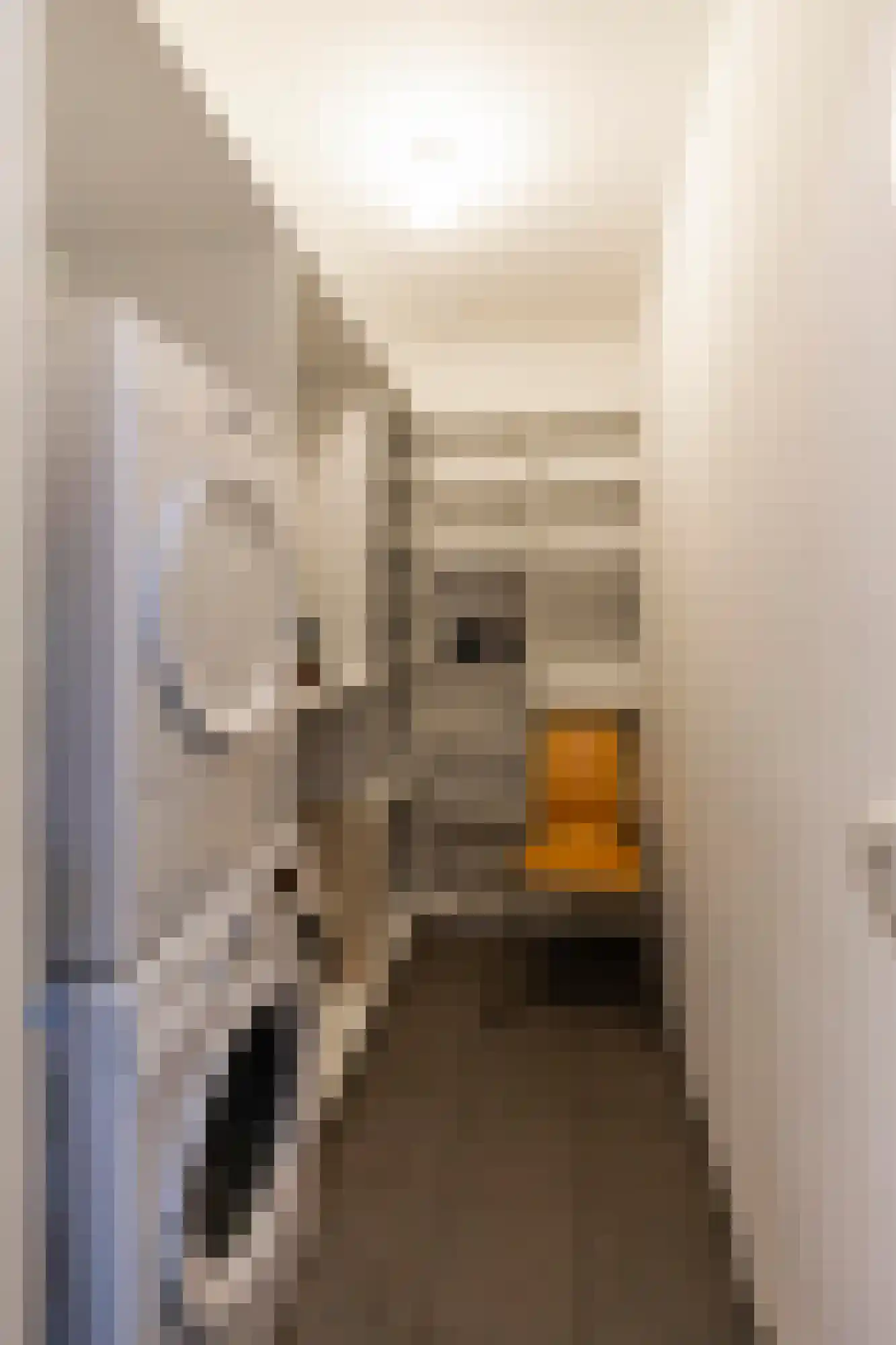 Begijnenhof 9 A Eindhoven thumbnail 32