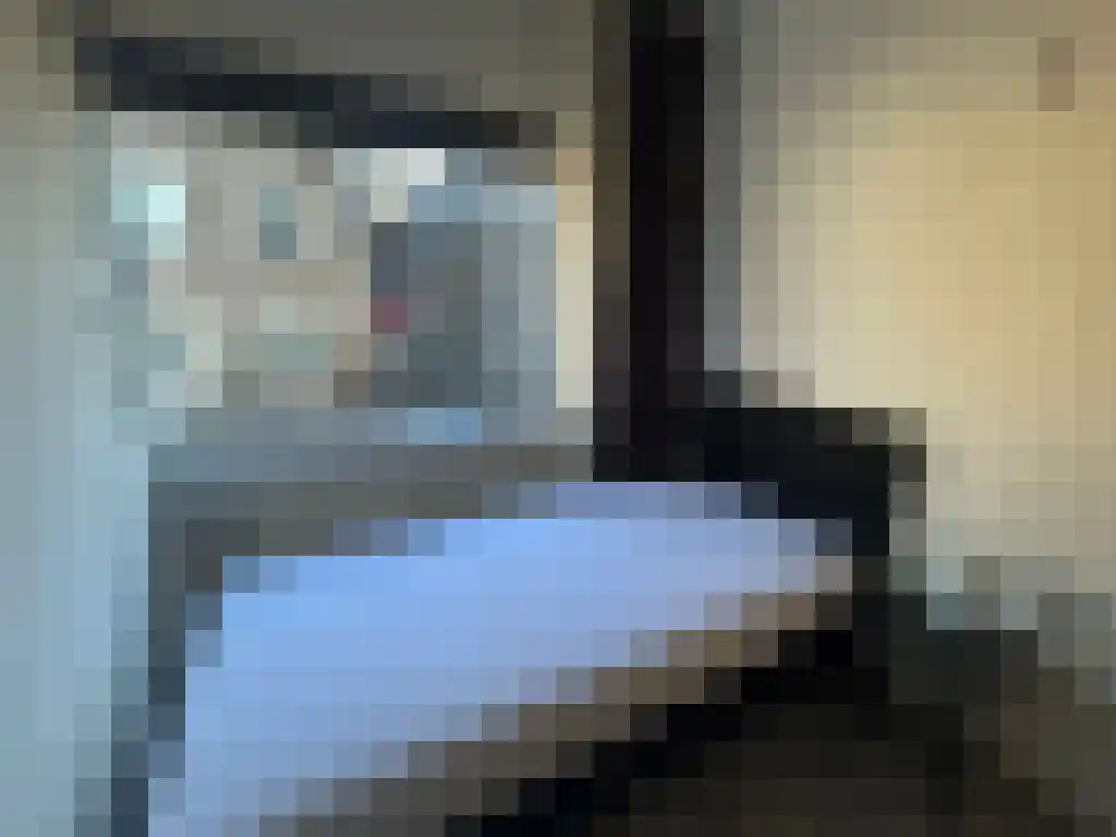 Begijnenhof Eindhoven thumbnail 4