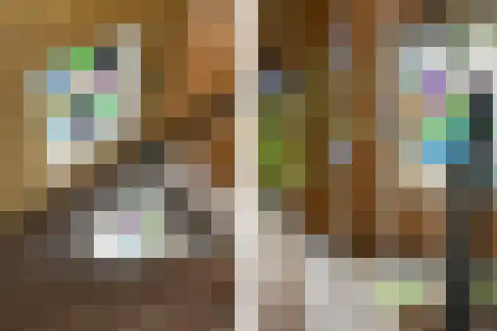 Begijnenhofstraat 18 Weert thumbnail 20