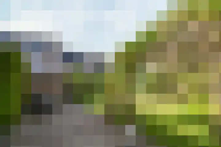 Begijnenhofstraat 18 Weert thumbnail 31