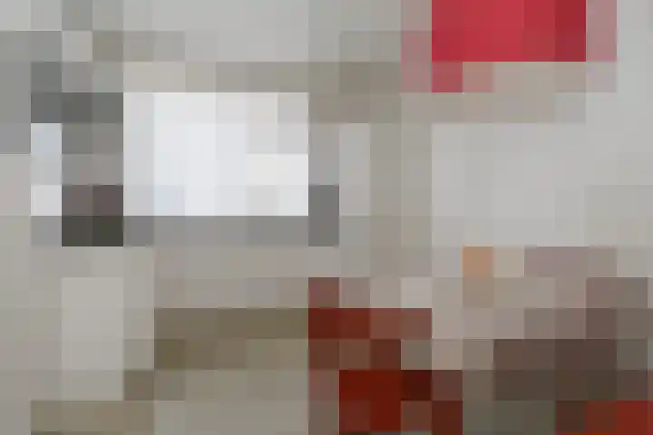 Begijnenhofstraat 18 Weert thumbnail 4