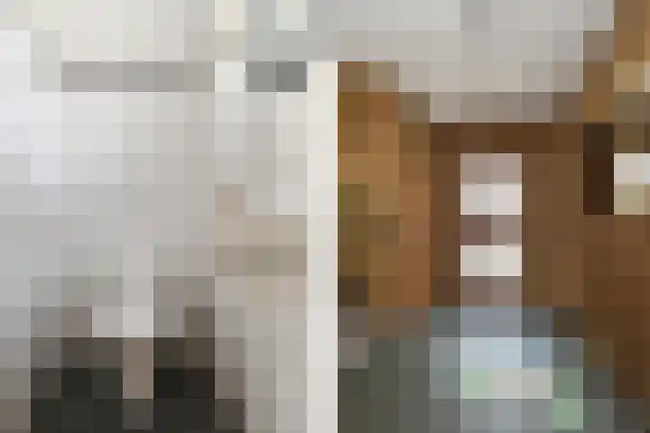 Begijnenhofstraat 18 Weert thumbnail 8