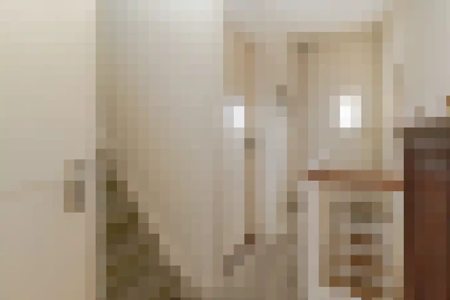 Begijnenhofstraat 20 Sittard thumbnail 20