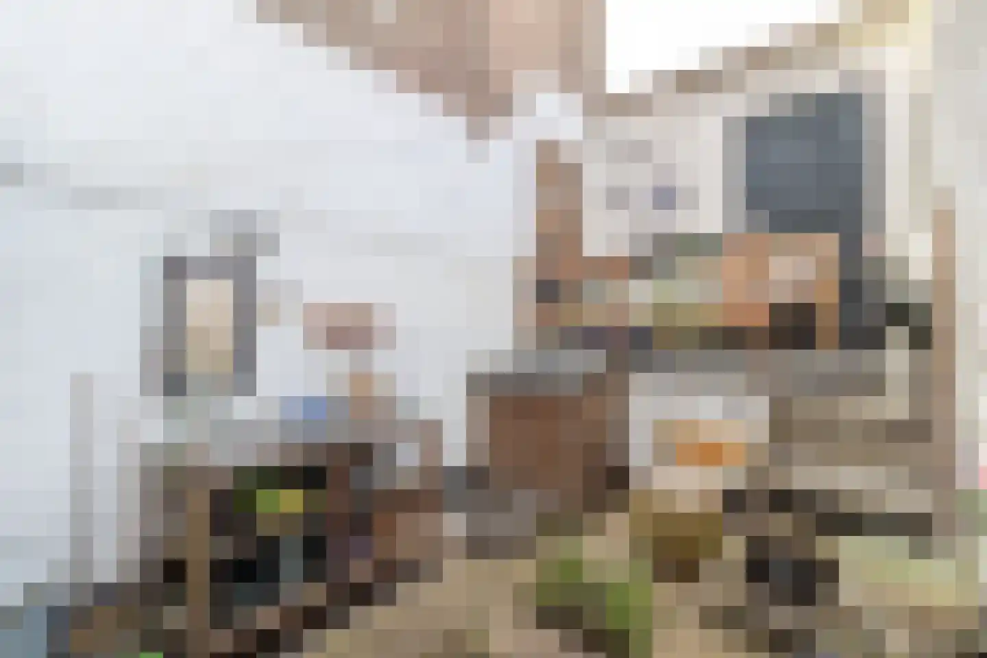 Begijnenhofstraat 20 Sittard thumbnail 26