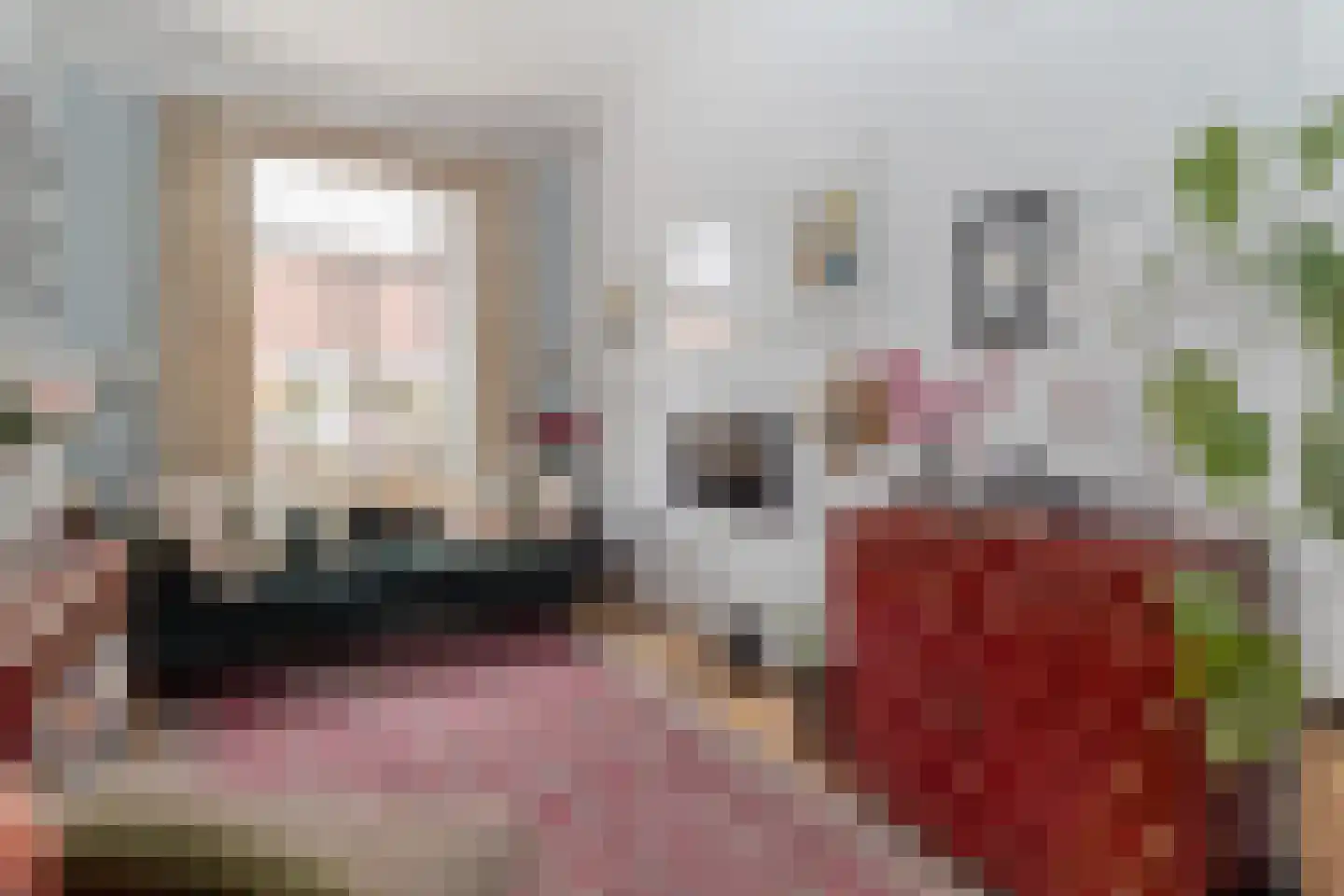Begijnenhofstraat 20 Sittard thumbnail 8