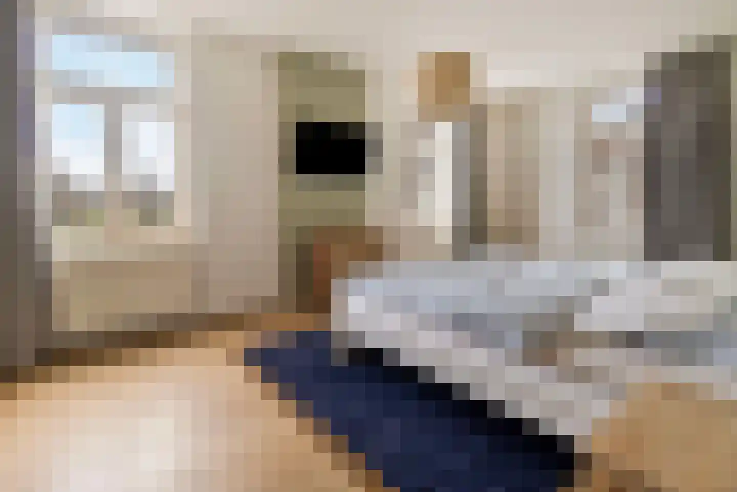 Begijnenhofstraat 32 Sittard thumbnail 13