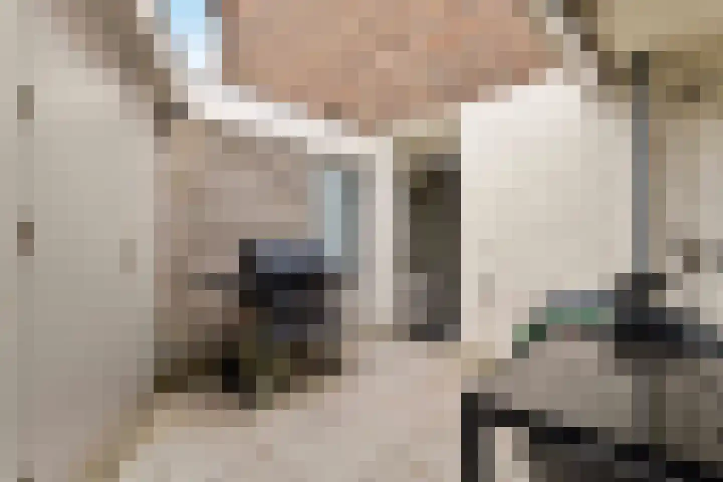 Begijnenhofstraat 32 Sittard thumbnail 25