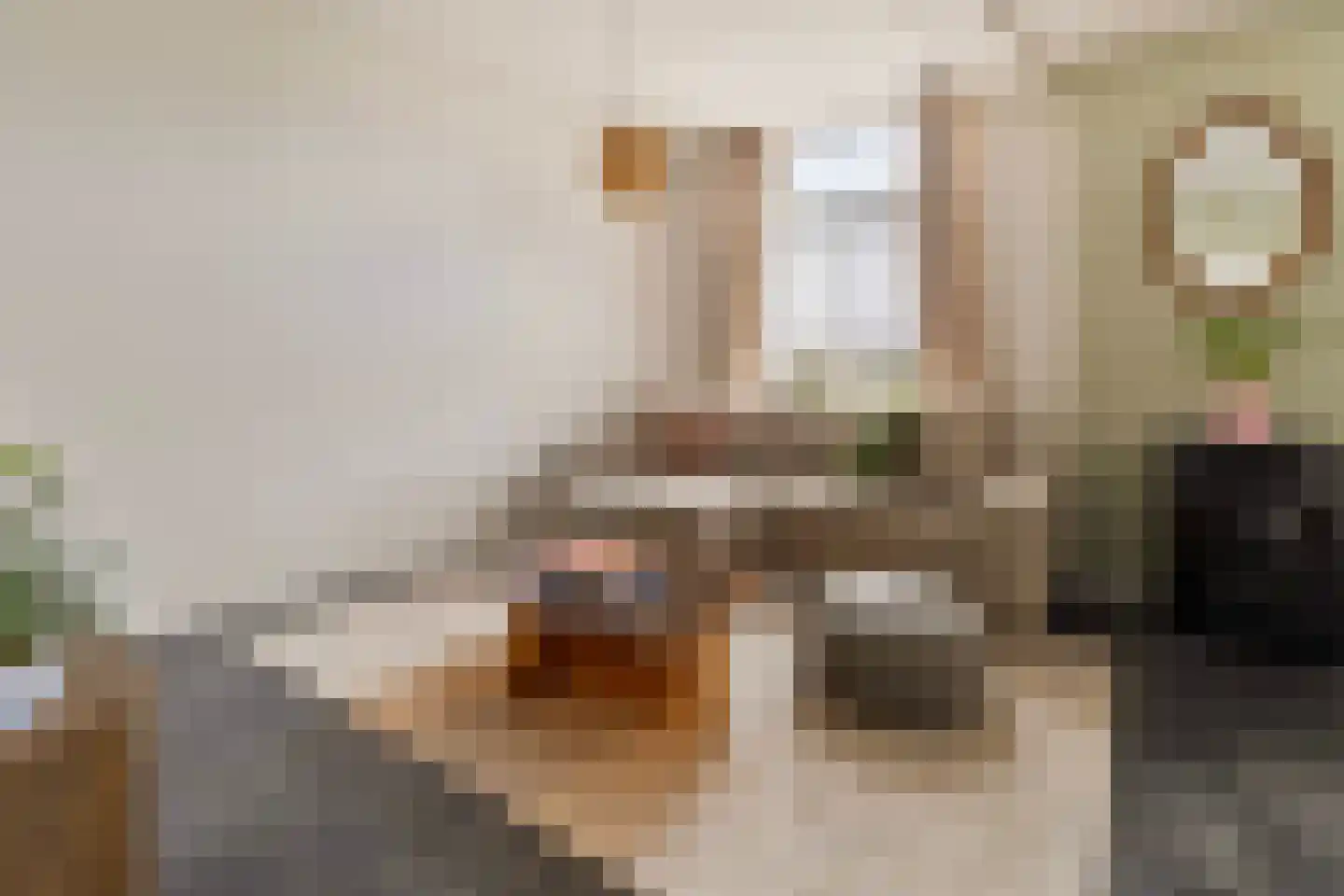 Begijnenhofstraat 32 Sittard thumbnail 5