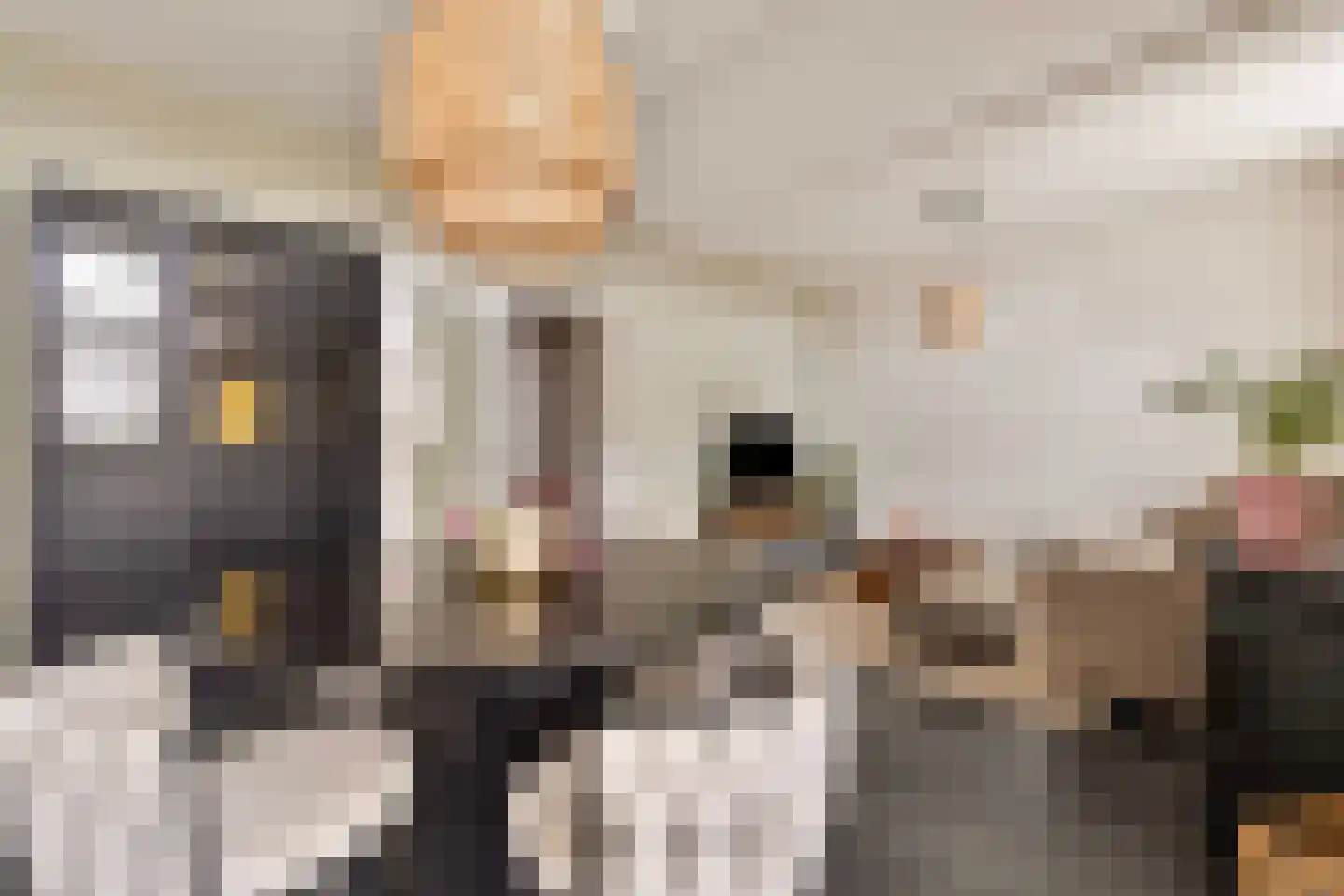 Begijnenhofstraat 32 Sittard thumbnail 6