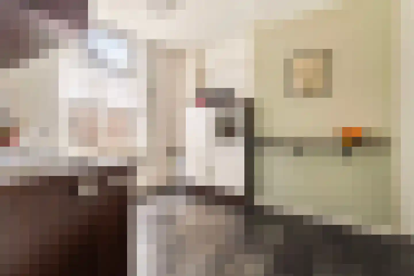 Begijnenhofstraat 32 Sittard thumbnail 8