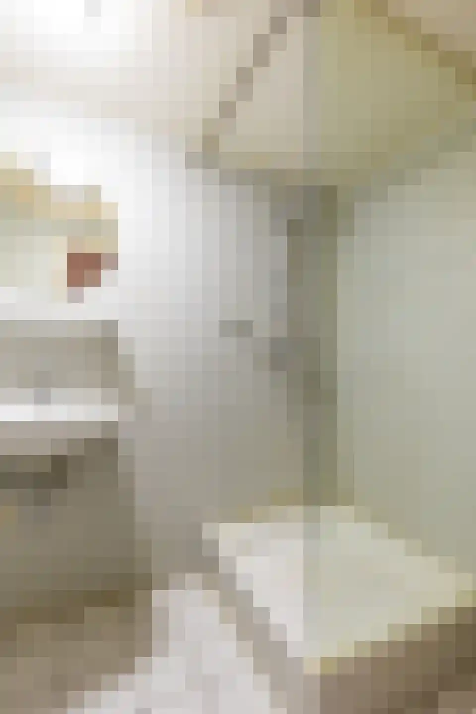 Begijnenhofstraat 6 Sittard thumbnail 17