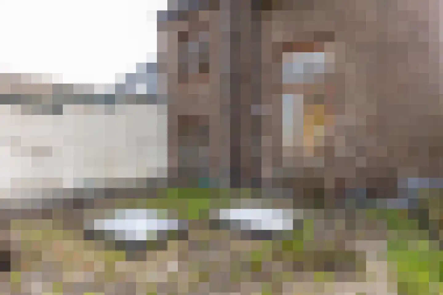 Begijnenhofstraat 6 Sittard thumbnail 38