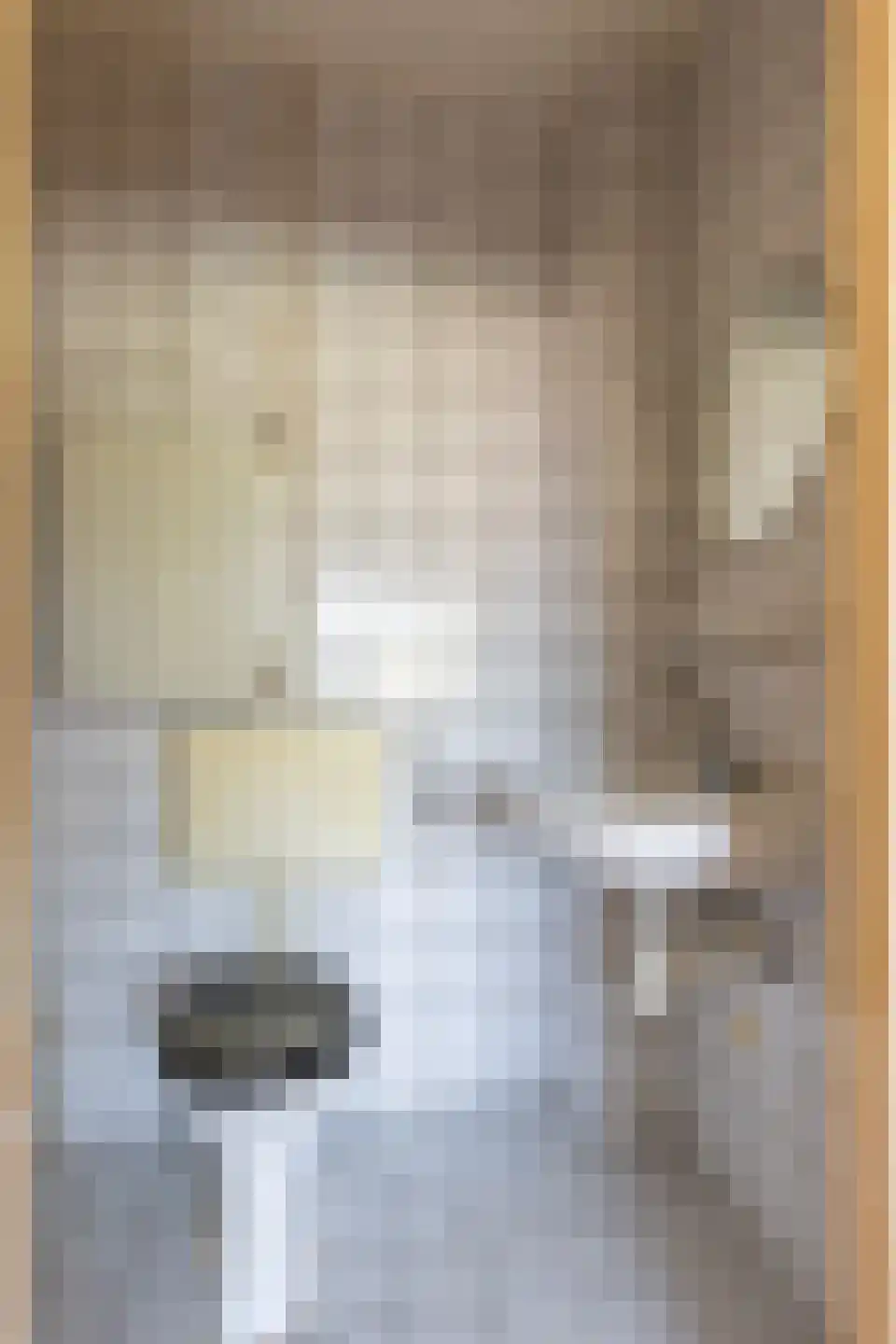 Begijnenhofstraat 6 Sittard thumbnail 44