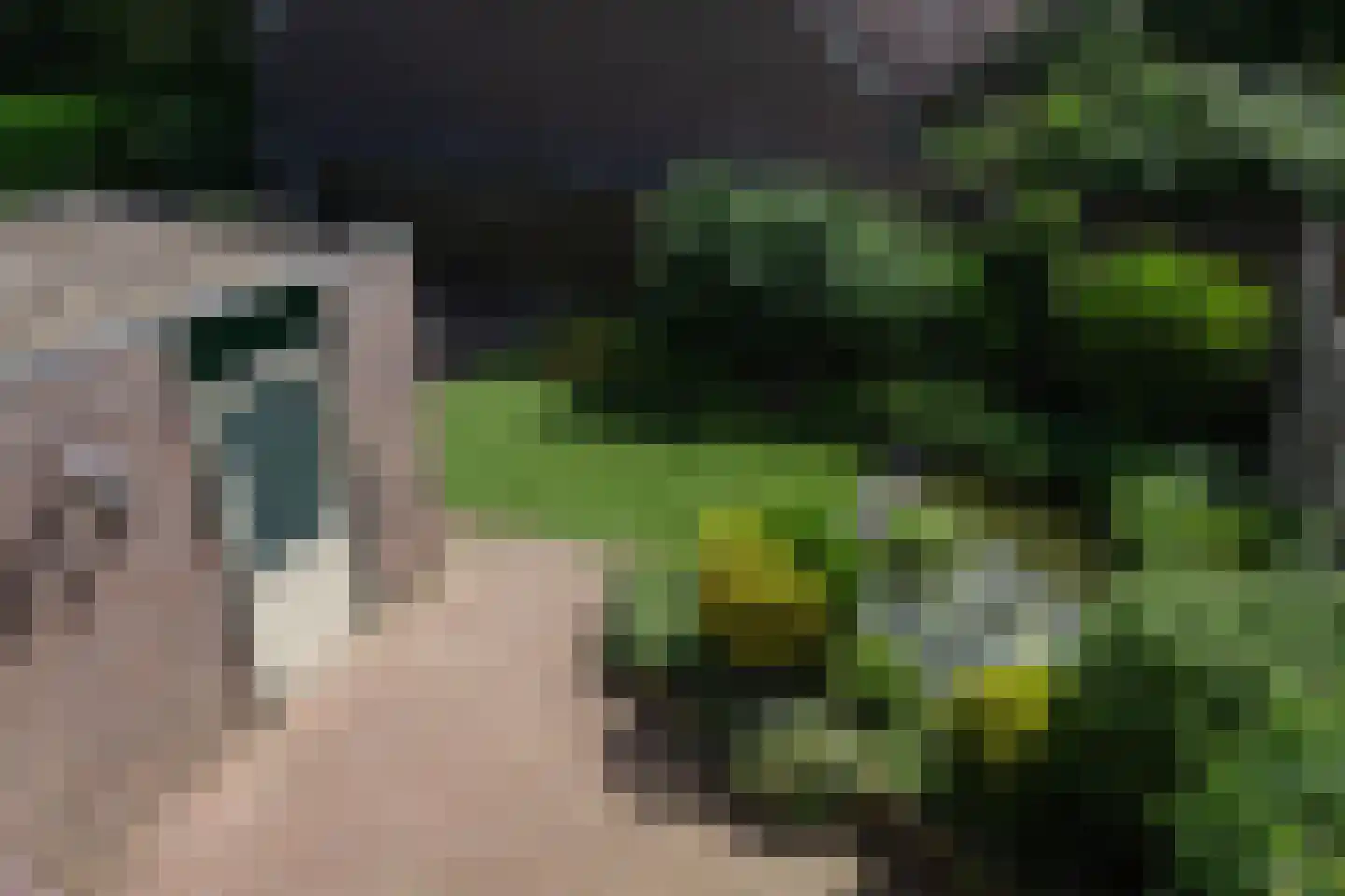 Begijnenkamp 16 Elst thumbnail 24