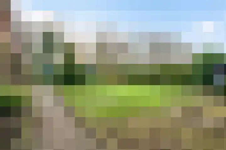 Begijnenpeelweg 5 Weert thumbnail 4